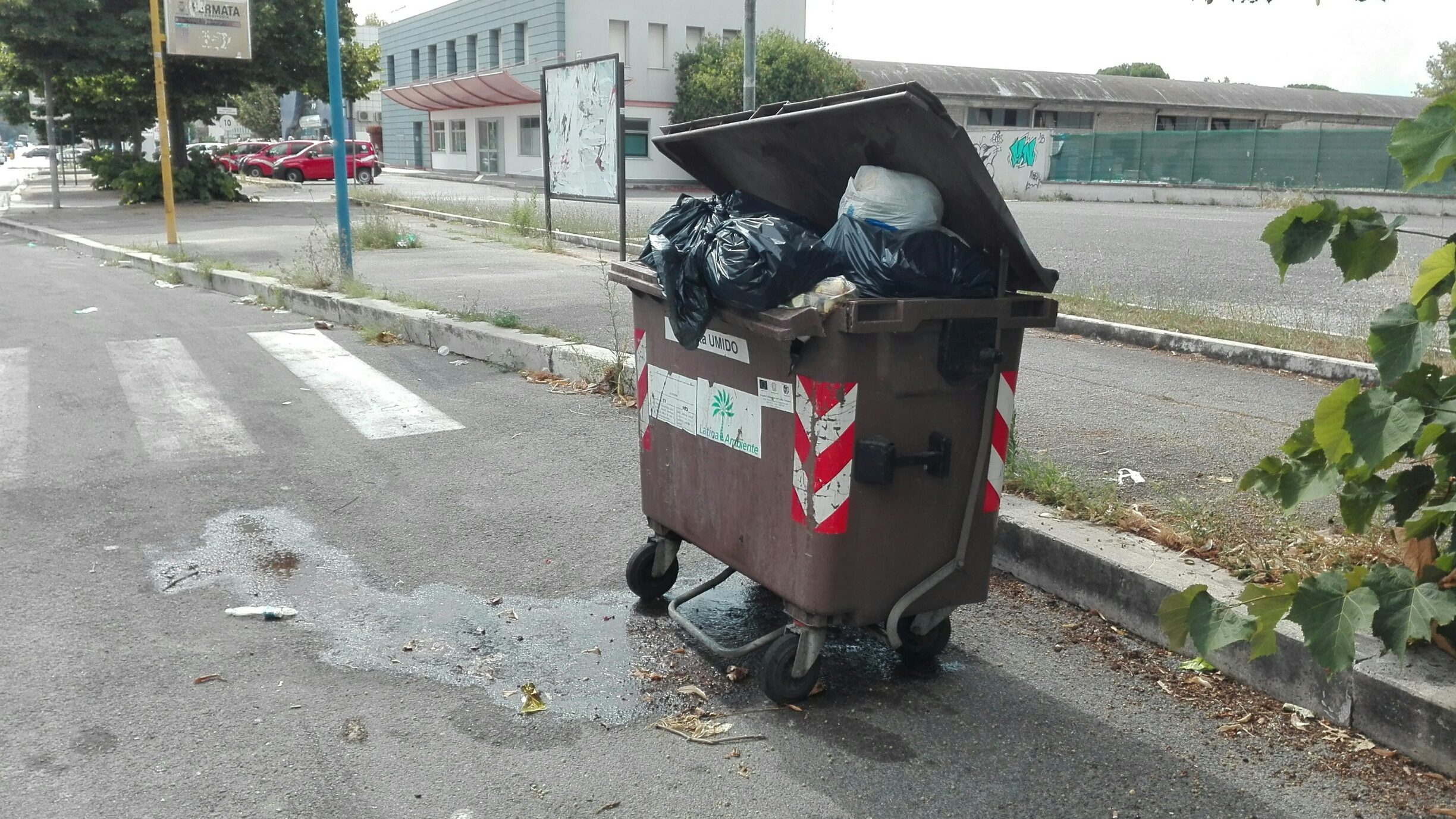 Cassonetti nel degrado a Latina