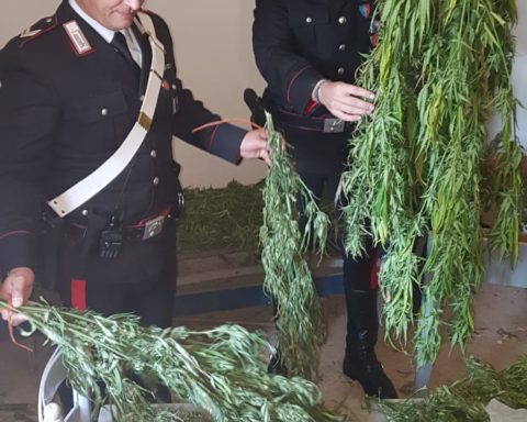 sequestro di marijuana