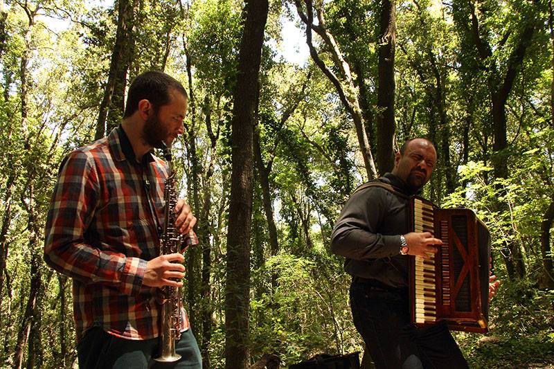 Passeggiata Poetica concerto foresta