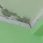 scuola gionchetto latina deteriorata