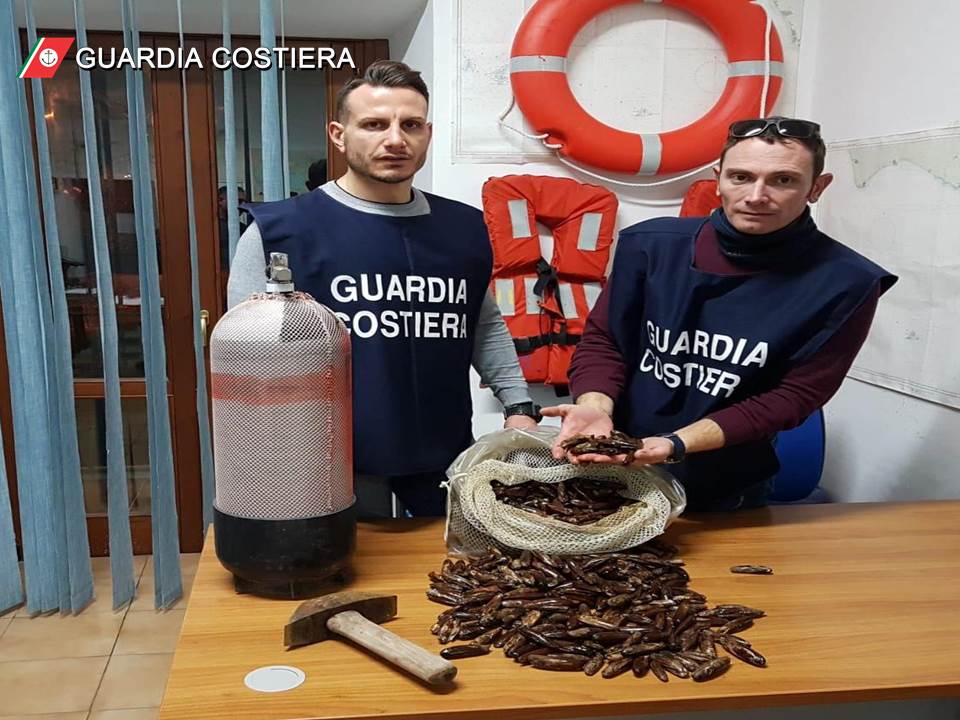 datterino