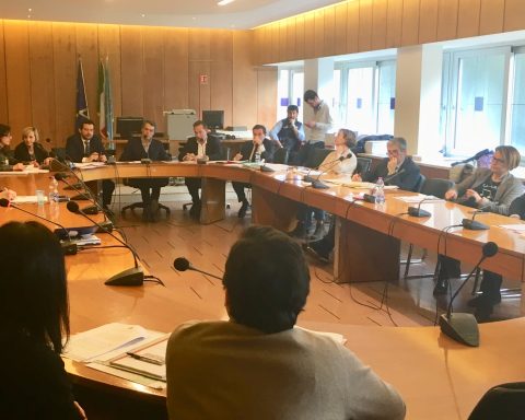 Commissione congiunta VIII e IX 31 Gennaio 2019 x (1)