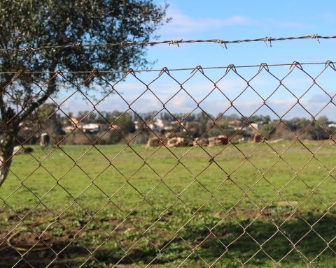 Aprilia, discarica di Via Savuto, località La Cogna
