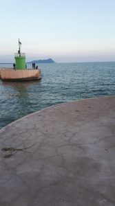 Rio Martino