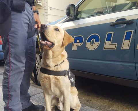 SQUADRA-CINOFILA-POLIZIA