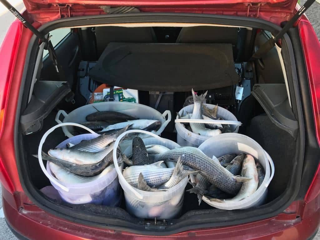 pesca di frodo a Gaeta