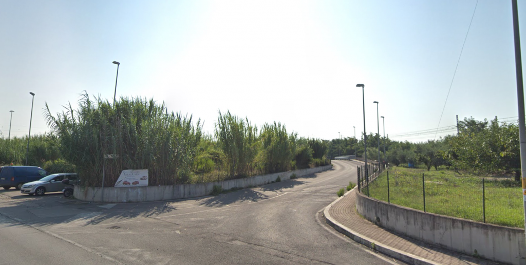Via dell'edera