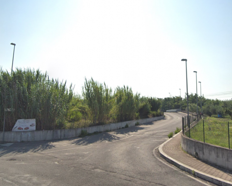 Via dell'edera