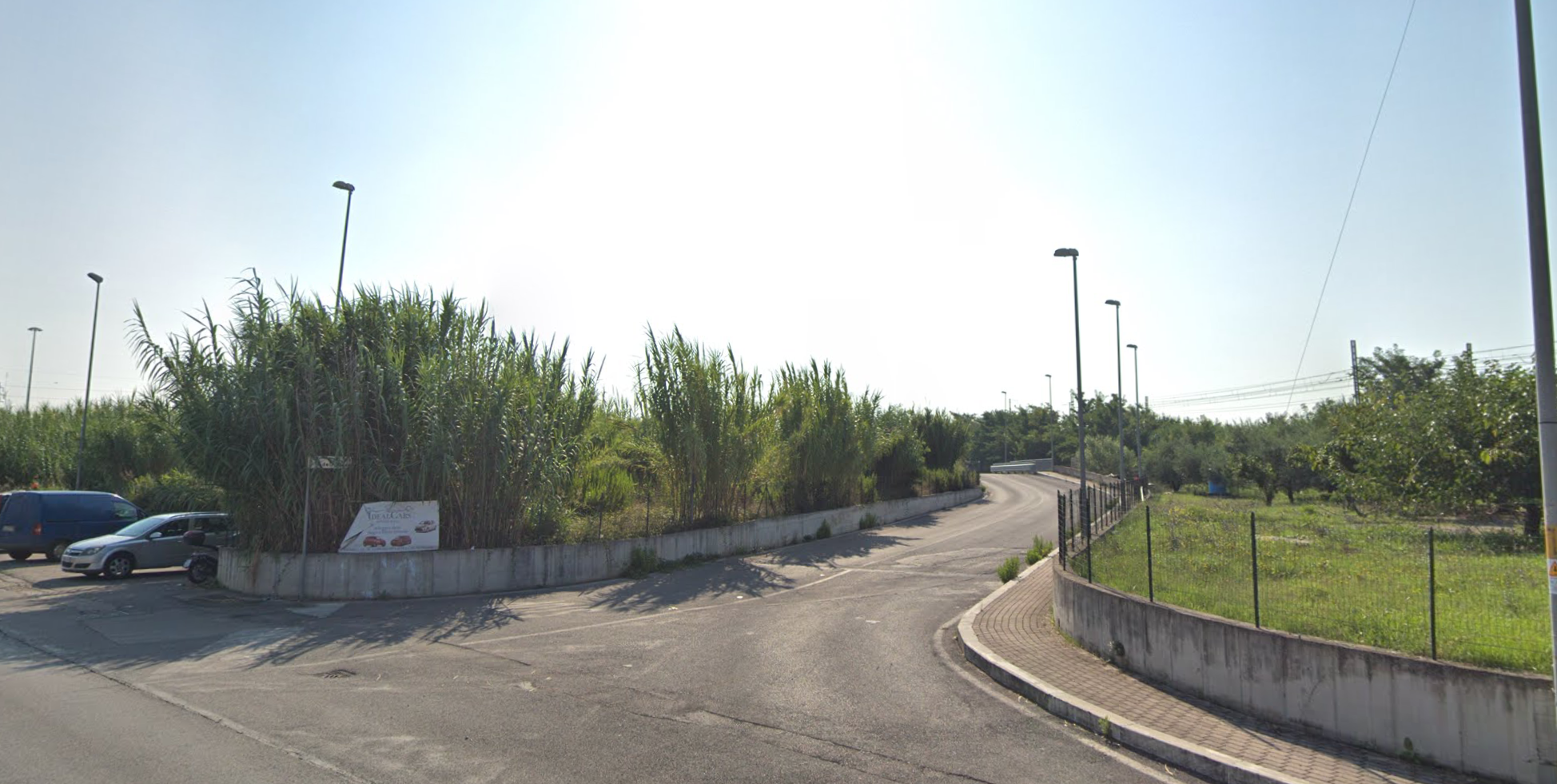 Via dell'edera