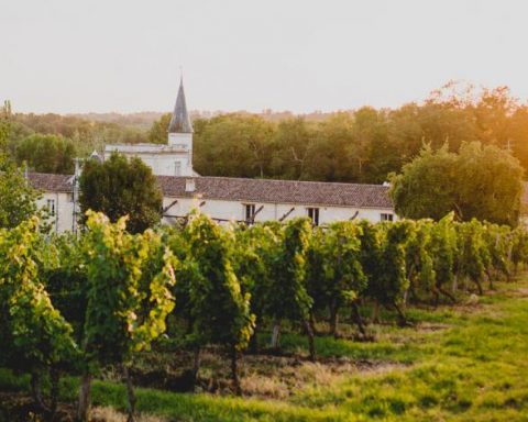 chateau_lagorce_bordeaux