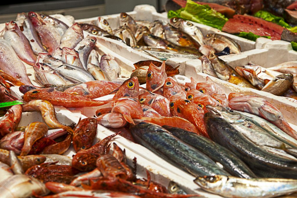 pesce-fresco