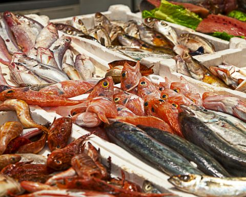 pesce-fresco