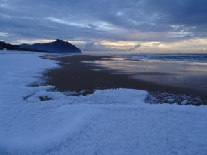 Sabaudia innevata 2