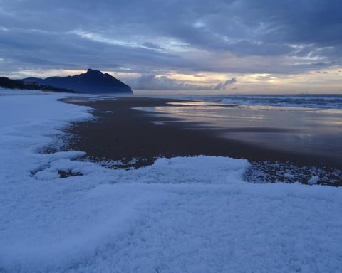 Sabaudia innevata 2