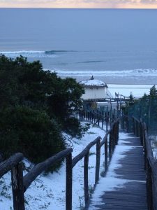 Sabaudia innevata 3