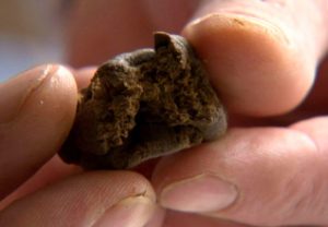 hashish