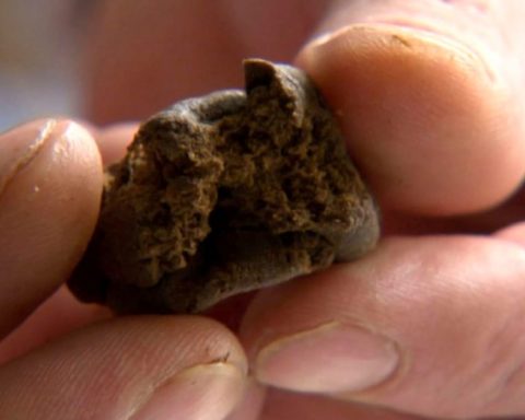 hashish