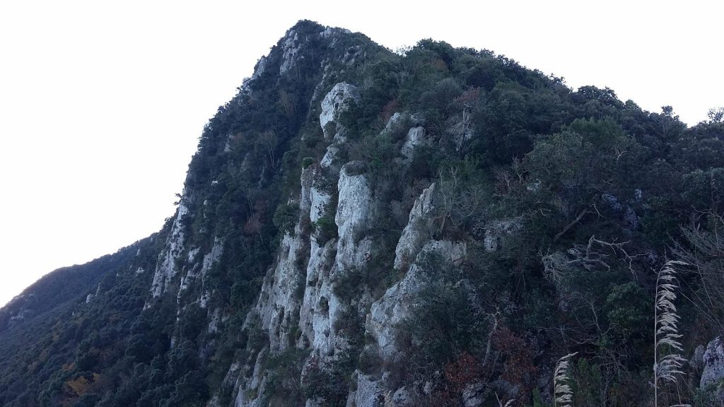 Circeo
