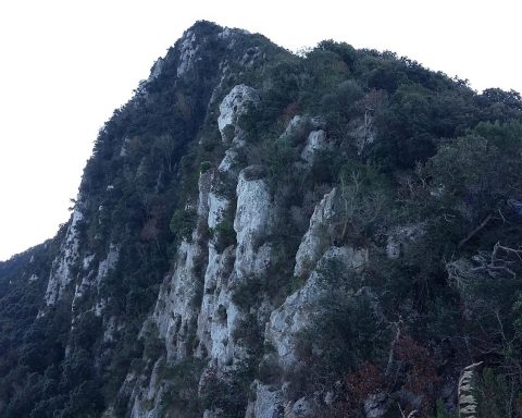 Circeo