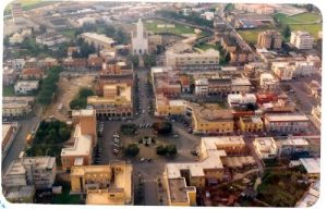 Pontinia