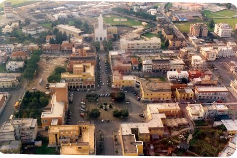 Pontinia