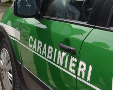 carabinieri-forestale