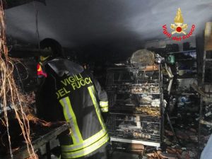 incendio alimentari Bella Farnia