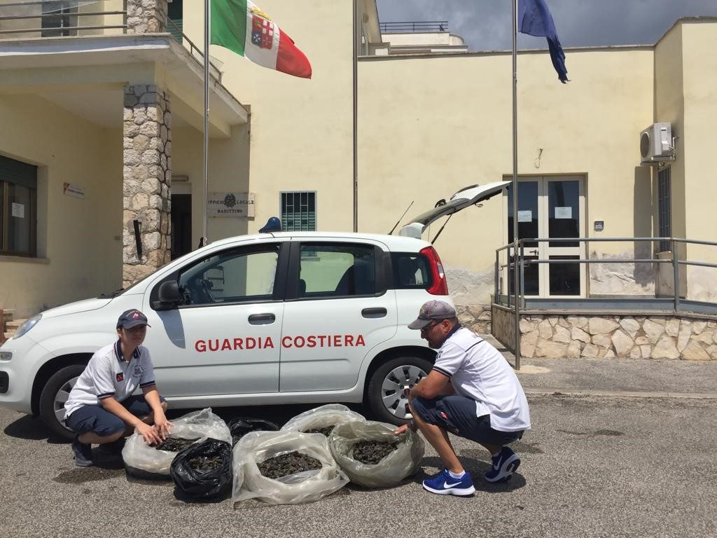 COZZE A Formia