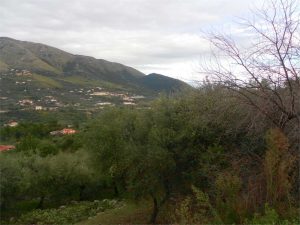 Contrada Calabretto