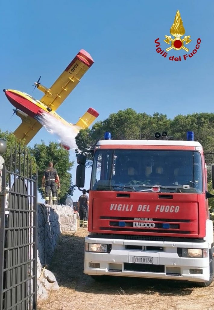 La Ciana 3