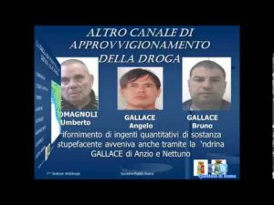 Nettuno mafia