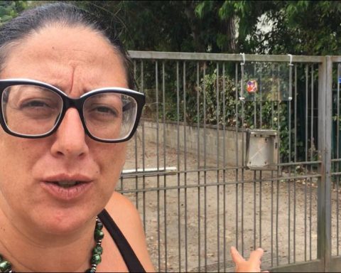 Gaia Pernarella