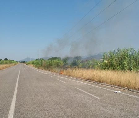 ROGHI A MAZZOCCHIO