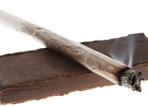 hashish e uno spinello