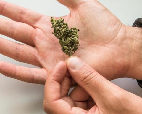 marijuana