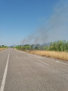 roghi a Mazzocchio 2