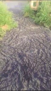 canale-trenta-palmi-inquinamento-garigliano