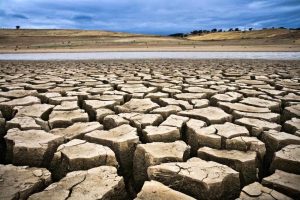 desertificazione nell'Agro pontino, azioni da compiere subito