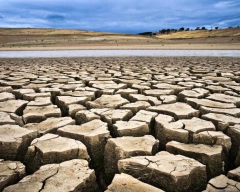 desertificazione nell'Agro pontino, azioni da compiere subito