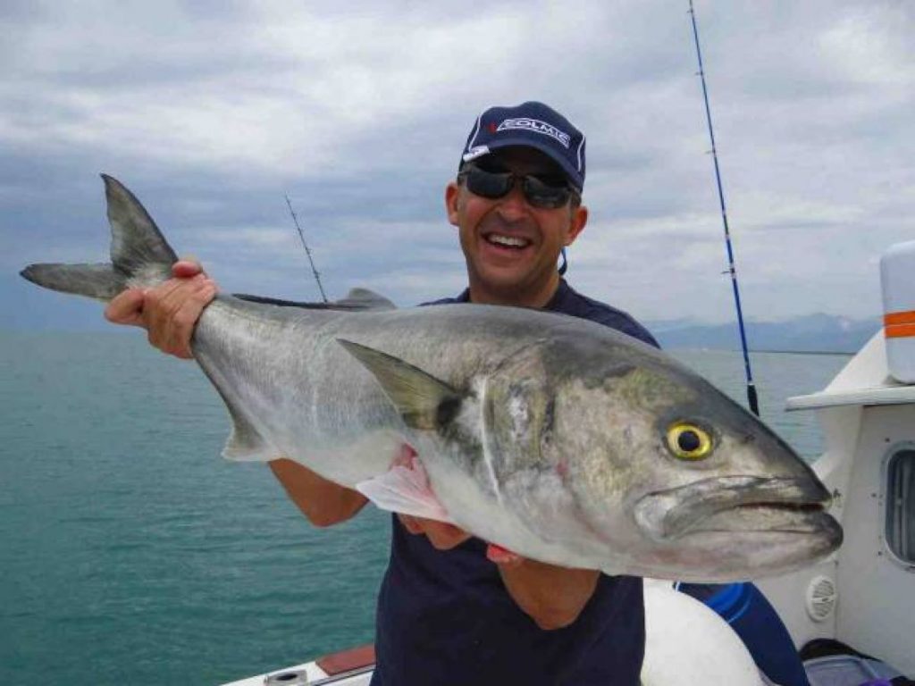 pesce serra