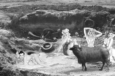 Foto da Rete dei Cittadini di Pontinia