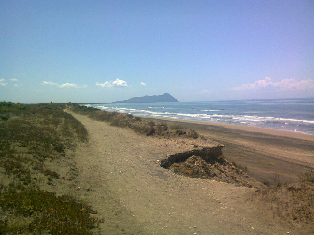 recupero dunale latina