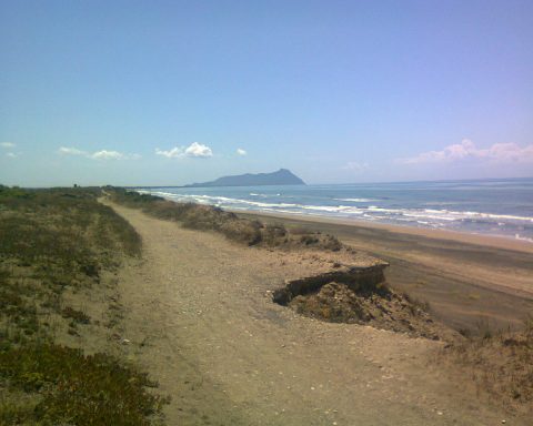 recupero dunale latina