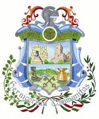 XII Comunità montana