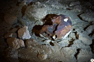grotta_guattari