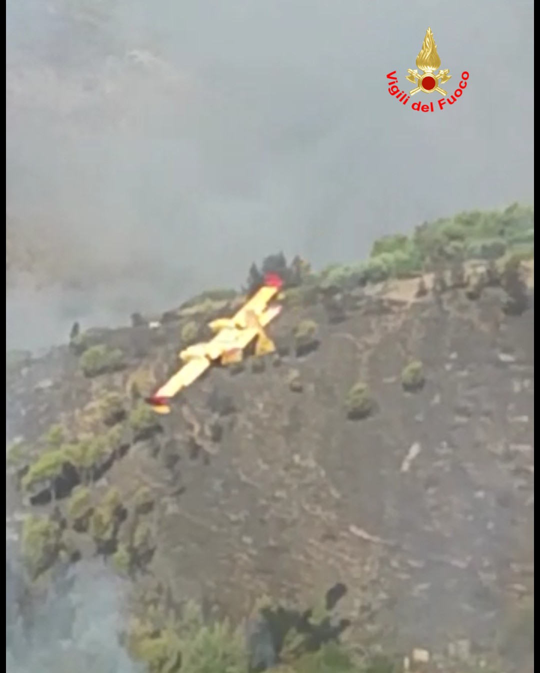 incendio boschivo3