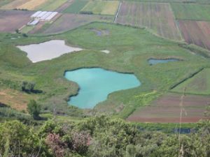 laghi gricilli