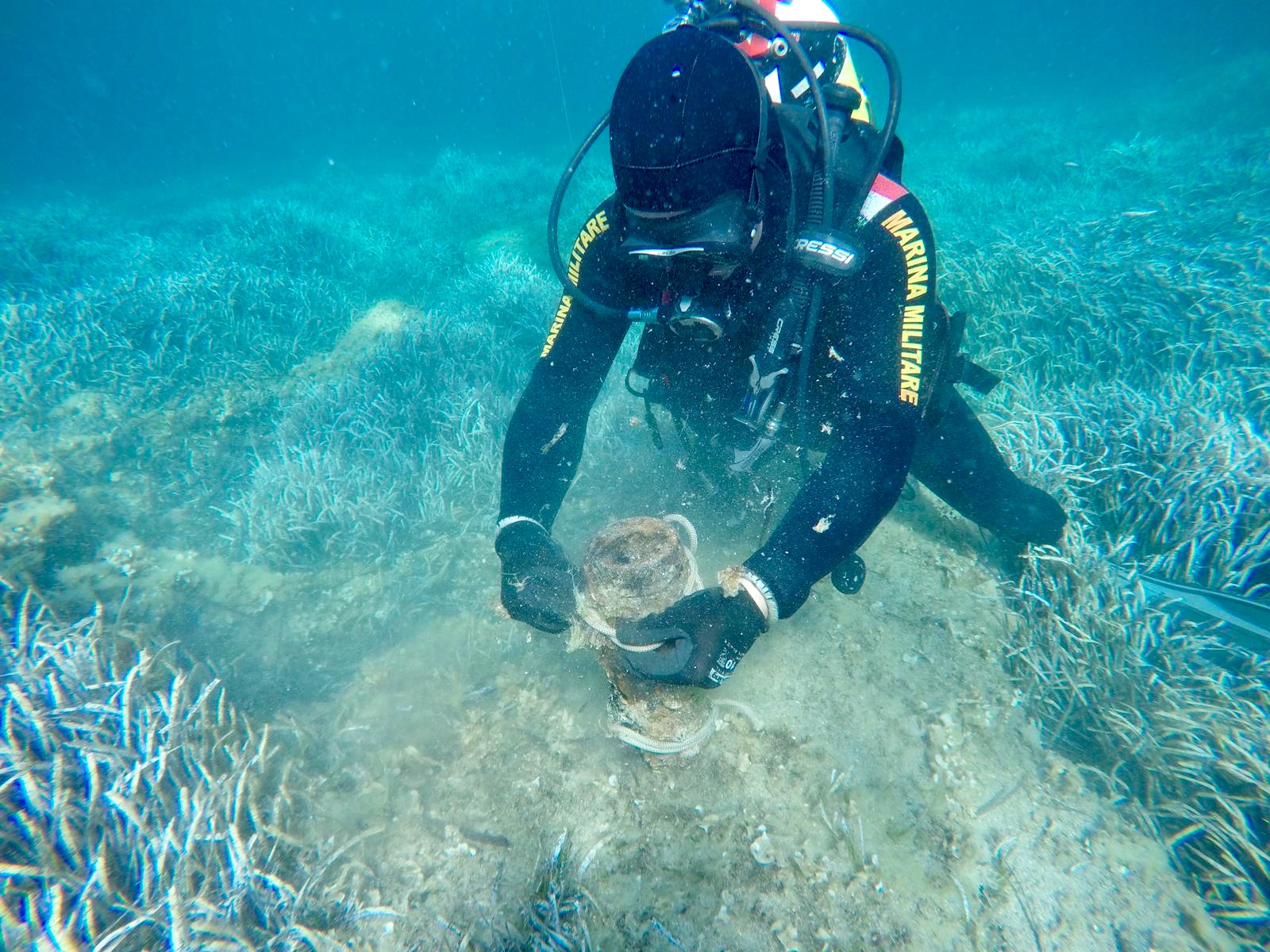 PALOMBARI IN AZIONE A PALMAROLA