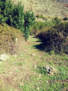 appia 3