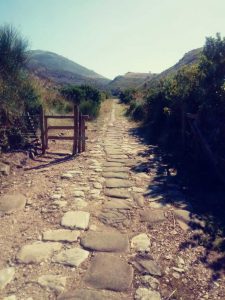 appia 4